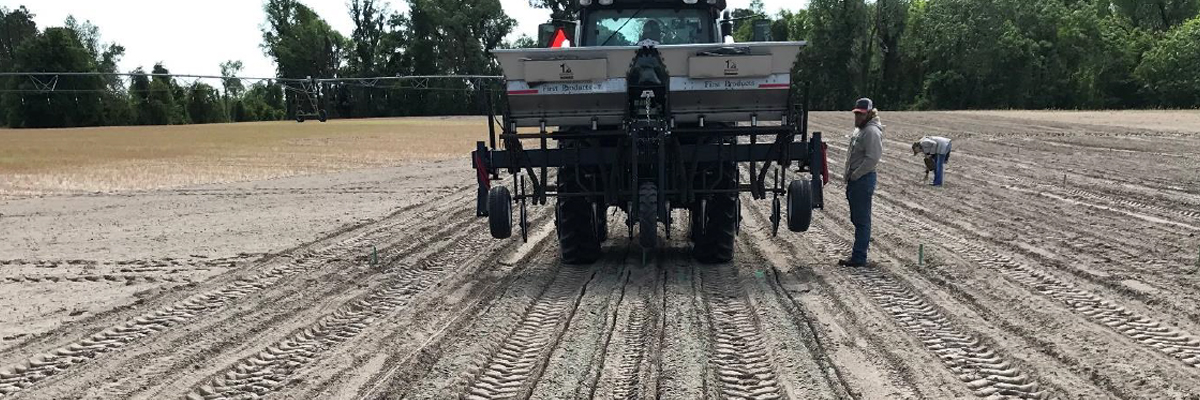 POLYON®controlled-release fertilizer(CRF) blends have demonstrated value across crops and  production systems.
